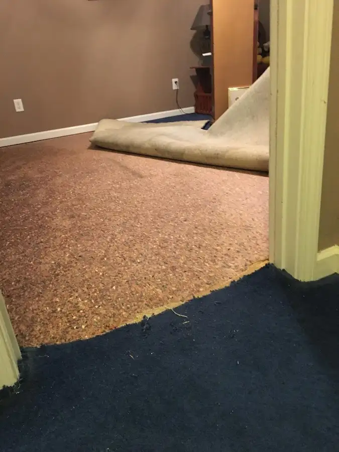 Carpet pad removal revealing water damage during Drying & Dehumidification in Flagler Beach