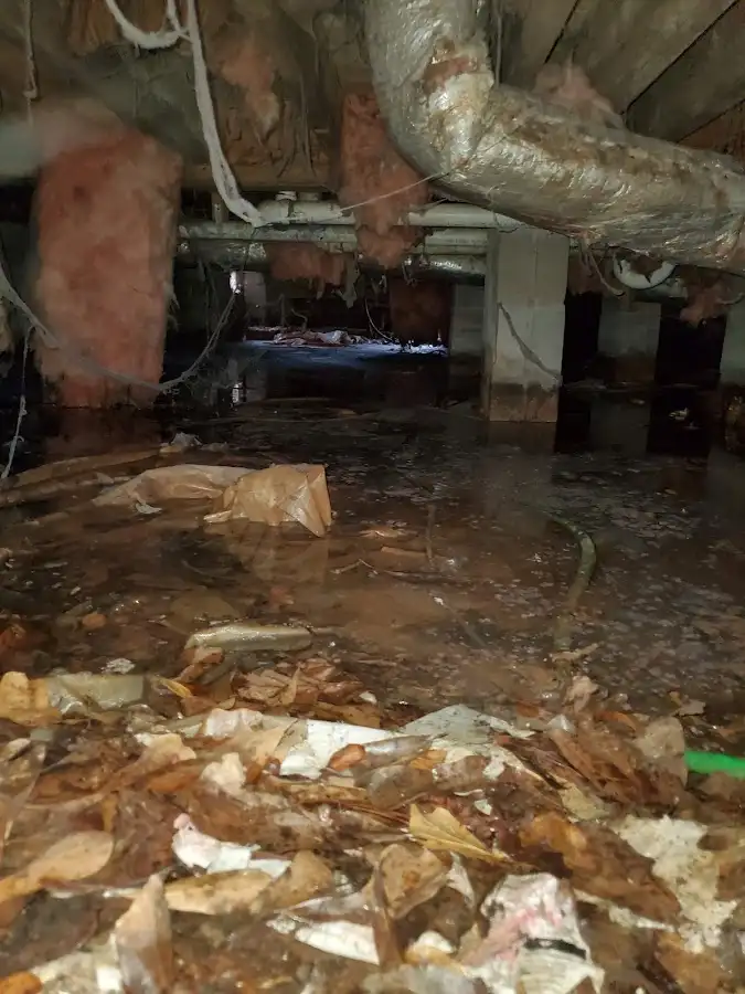 Crawl space flood assessment for Leak Detection & Repair in Flagler Beach