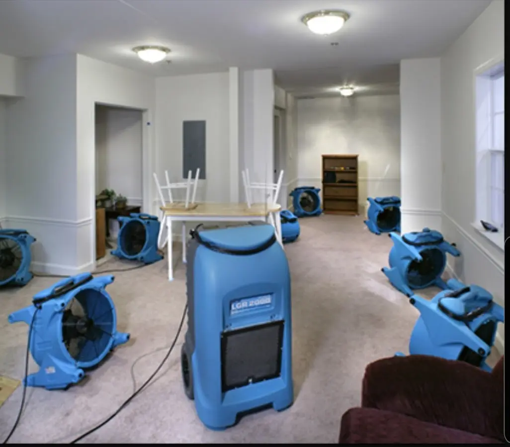 Air movers and dehumidifier setup for Water Extraction & Removal in Flagler Beach