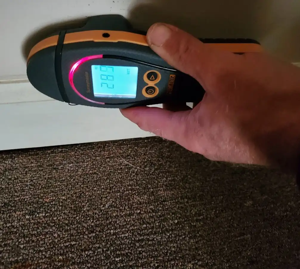 Moisture detection at baseboard during Mold Inspection & Testing in Flagler Beach